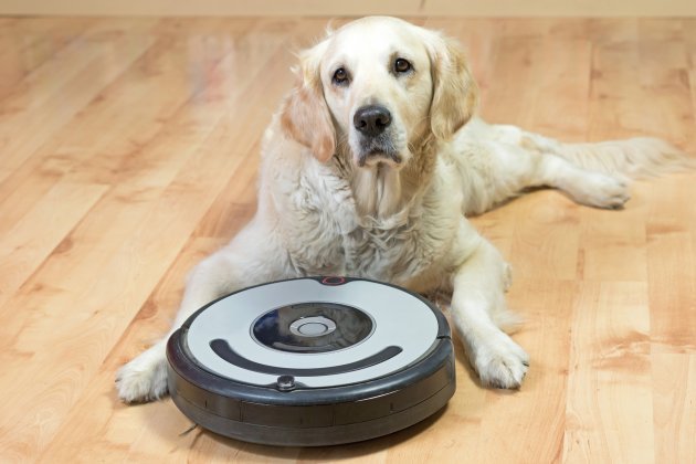 10 Best Robot Vacuums for Pet Hair (Roomba, Eufy) [2019 ...