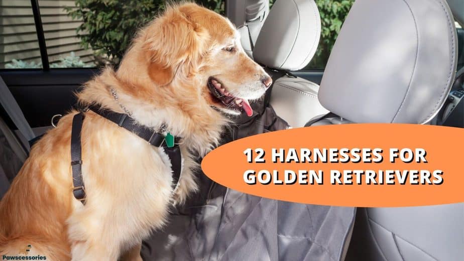 12 Best Harnesses for Golden Retrievers: Facts, FAQs &  Features