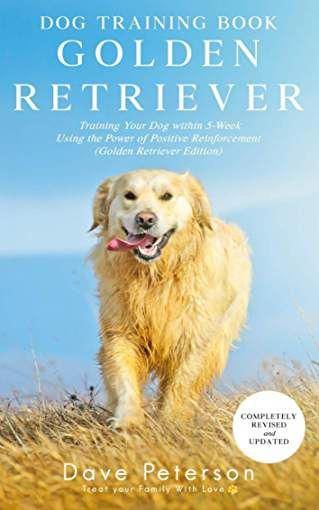 14 Amazing Books That All Golden Retriever Owners Must ...