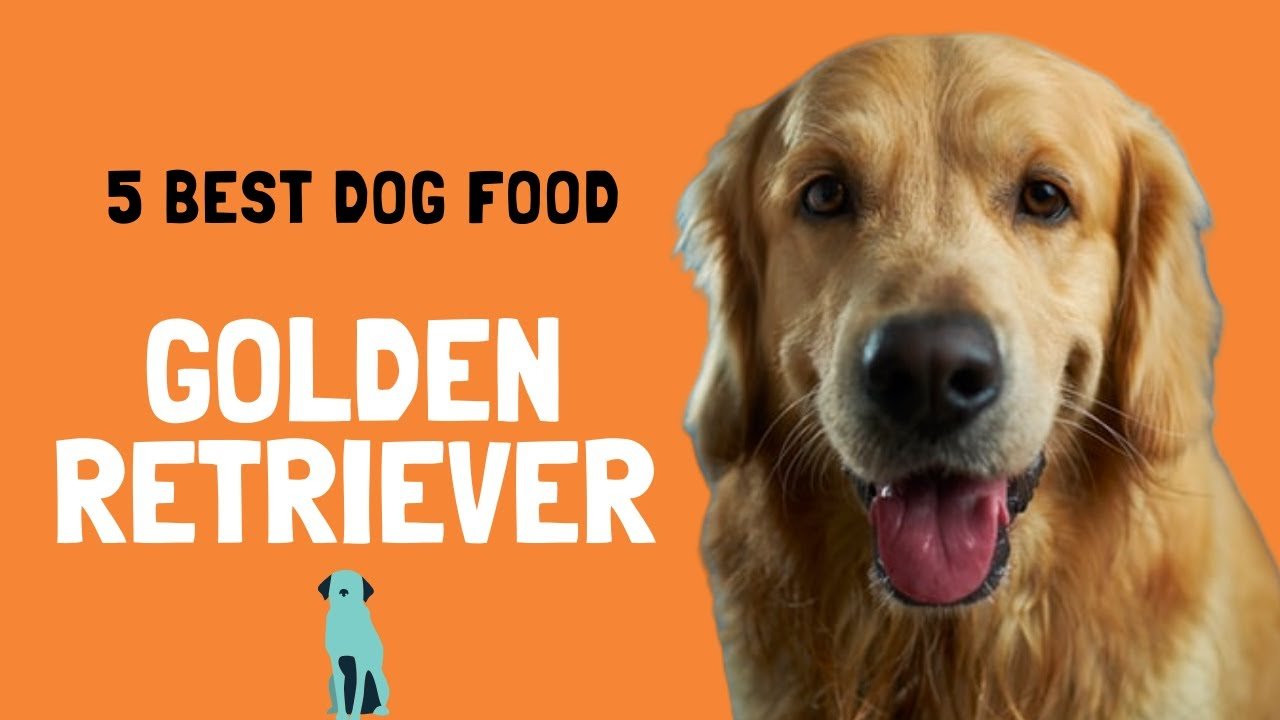 5 Best Dog Food For Golden Retriever in 2020.