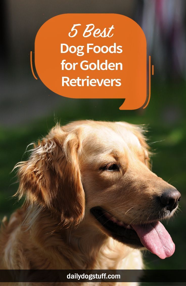 5 Best Dog Foods for Golden Retrievers via @dailydogstuff ...
