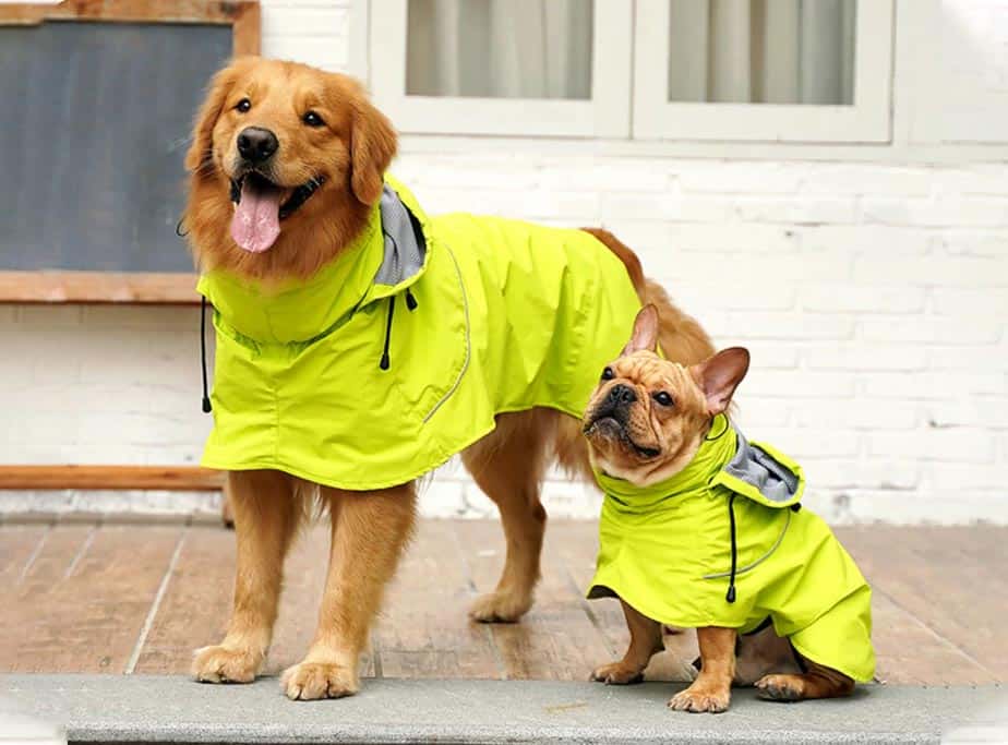 5 Best Raincoats For Golden Retrievers (Hoods &  Harnesses ...