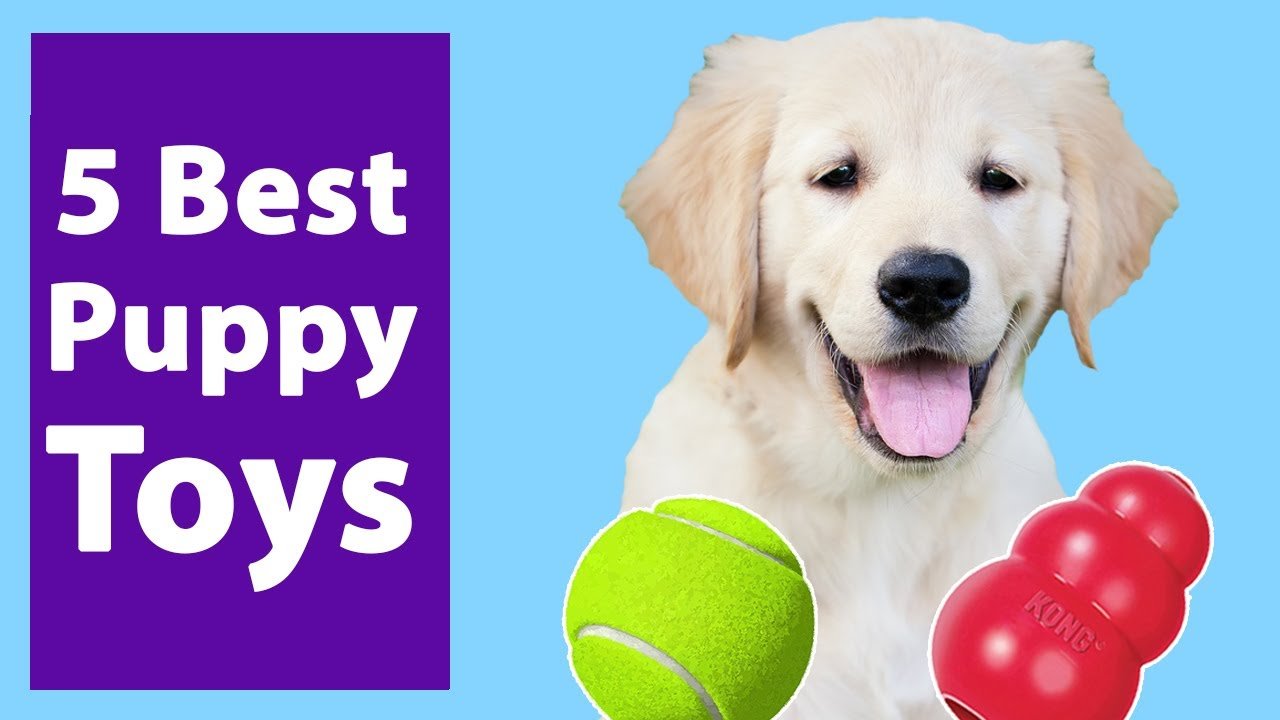 5 Best Toys For Golden Retriever Puppies