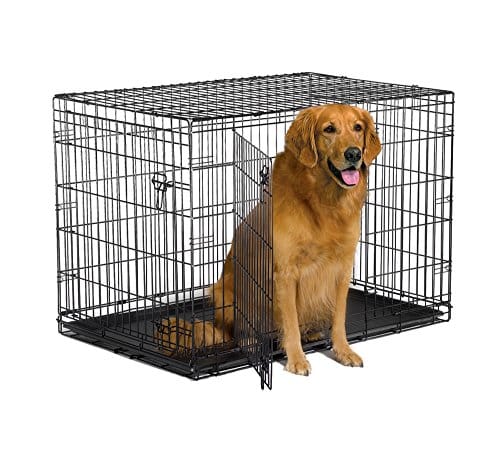 7 Best Dog Crates For Golden Retrievers [Sizes &  Training for 2021]