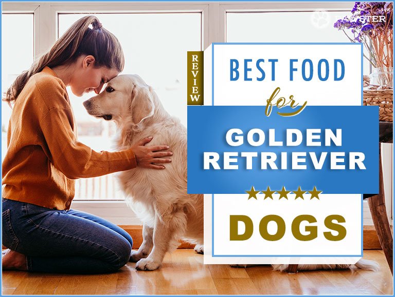 8 Best Dog Foods for Golden Retrievers in 2020