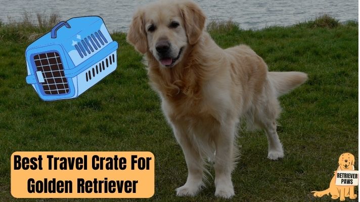 8 Best Travel Crate For Golden Retriever Dogs (2021)
