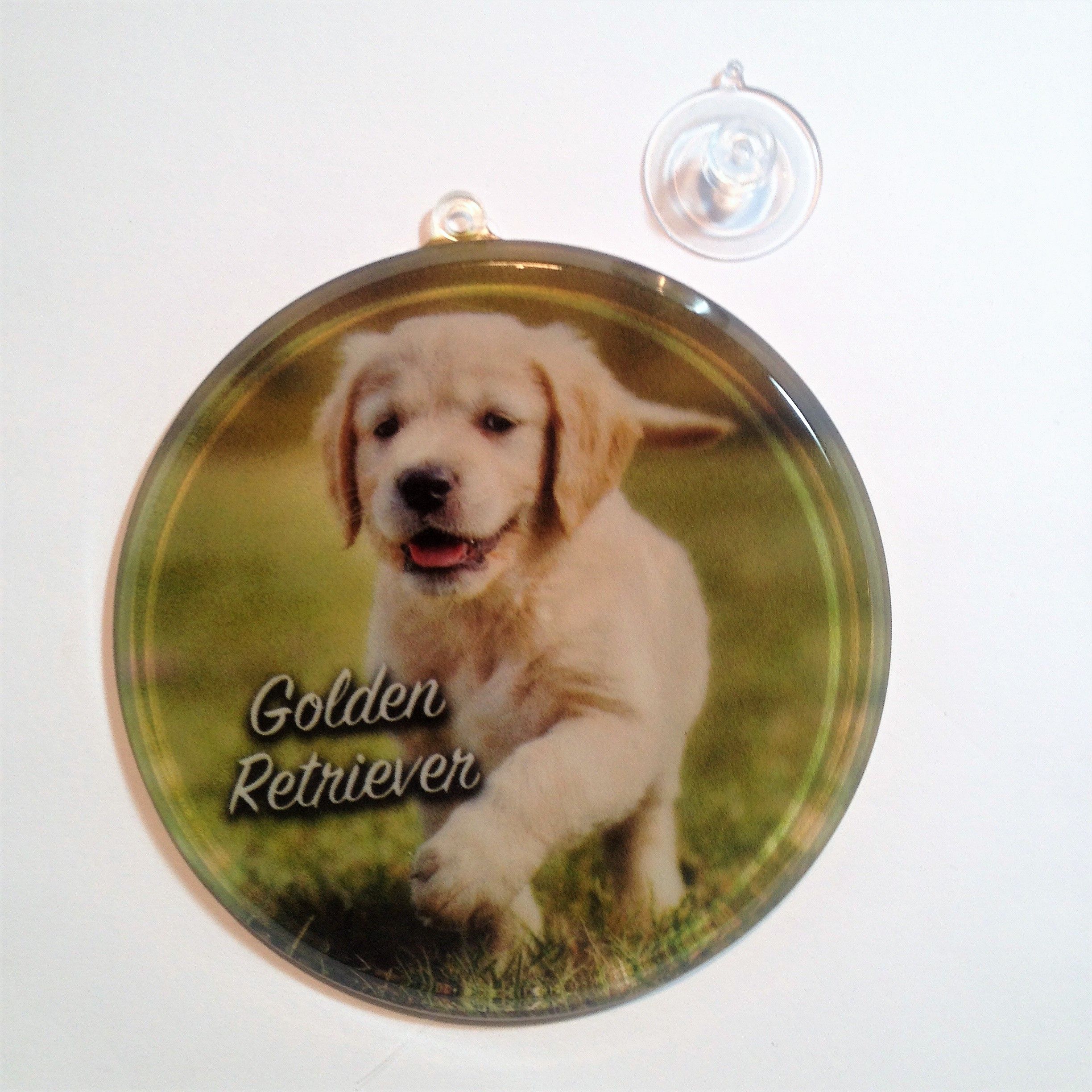A golden retriever puppy is prancing on the glass on this ...