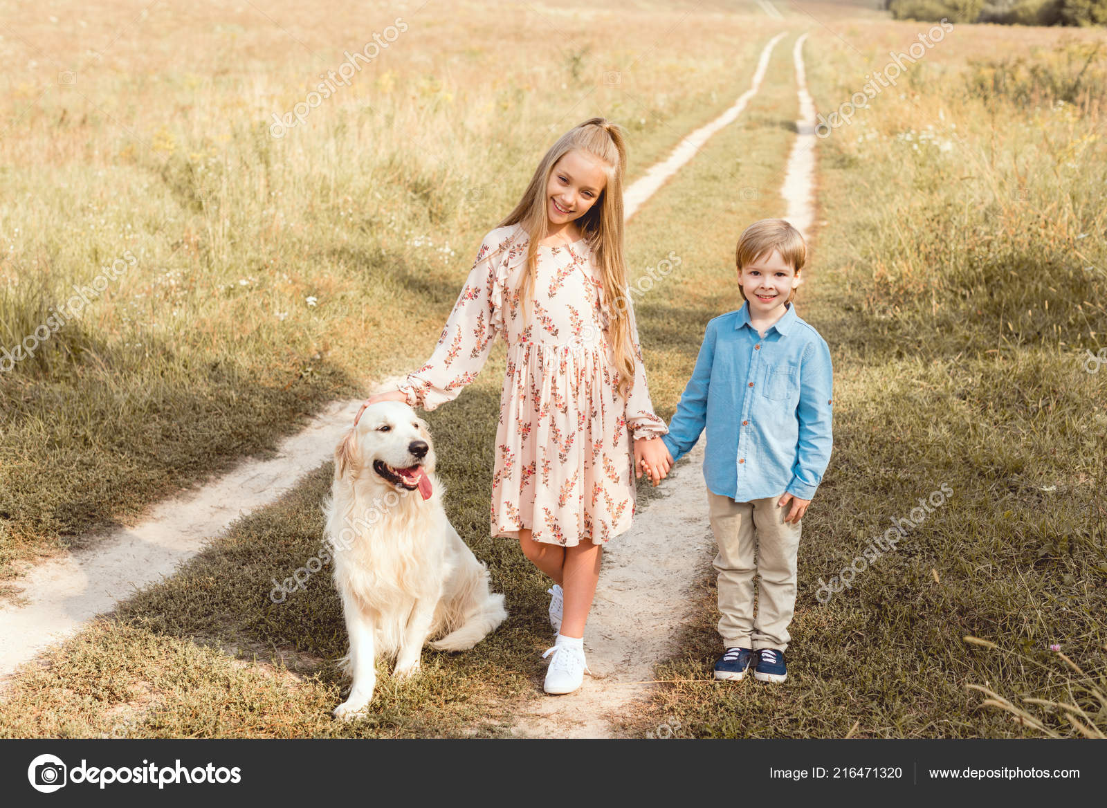 Adorable Little Kids Standing Road Field Golden Retriever ...
