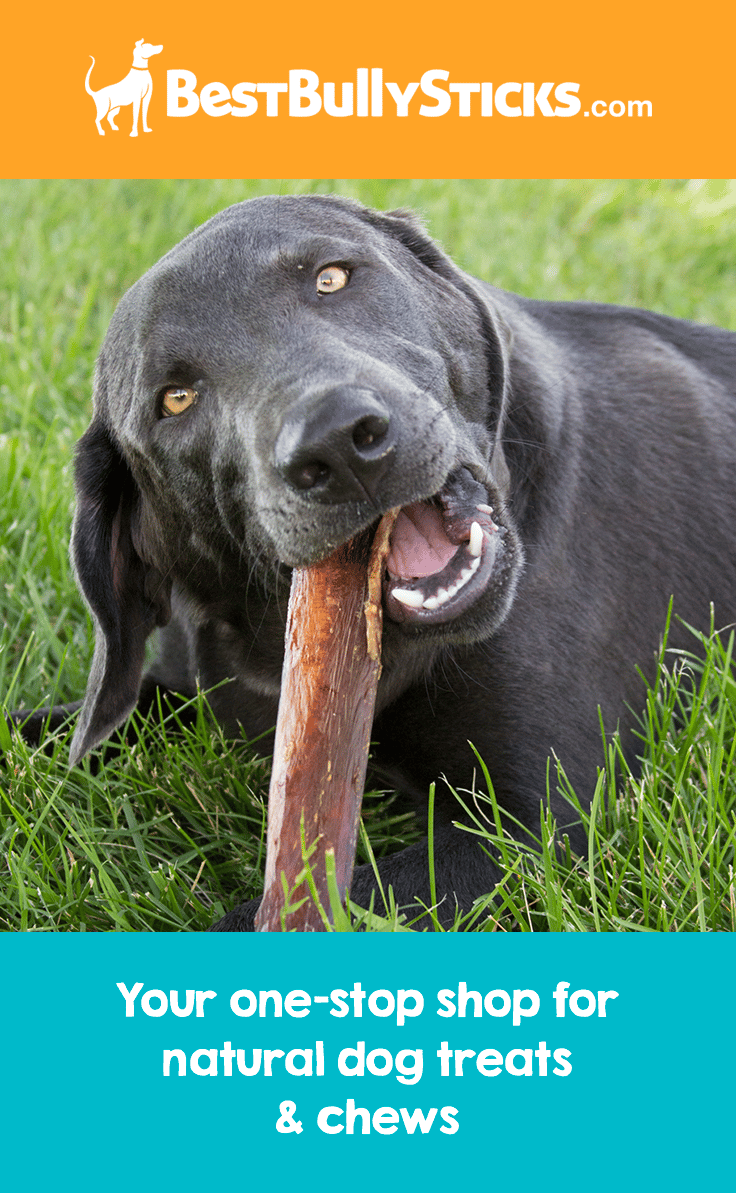 Best Bully Sticks is in the business of making dogs happy! And they don ...