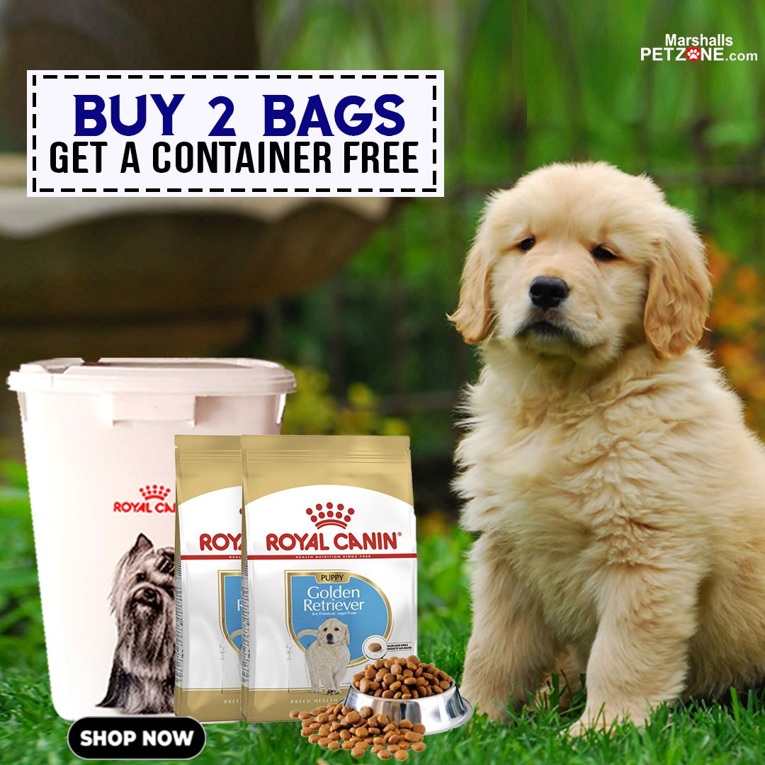 Best Canned Dog Food For Golden Retrievers