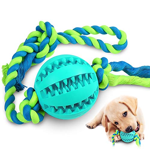 Best Chew Toy For Teething Golden Retrievers