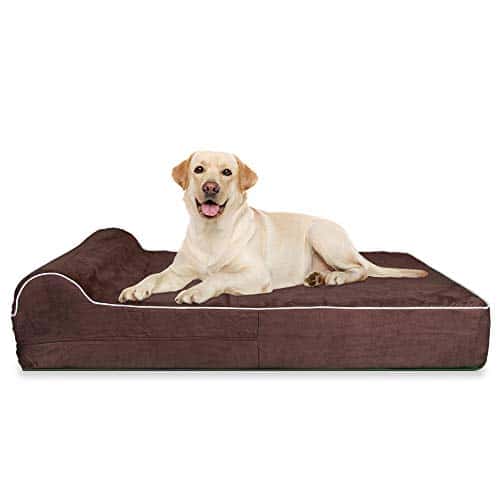 Best Dog Beds for Golden Retrievers: Reviews