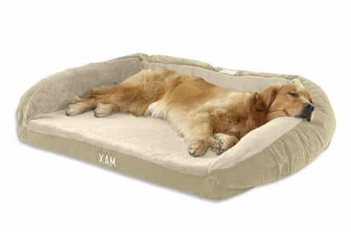 Best Dog Beds for Golden Retrievers Top 4, Puppy