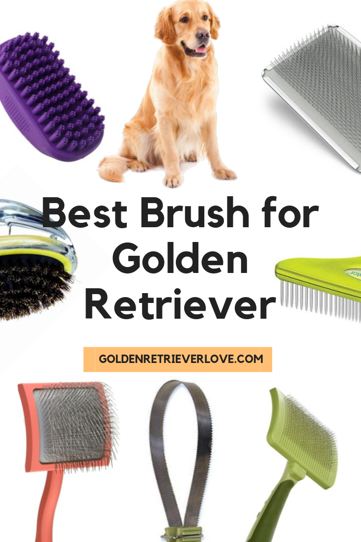 Best Dog Brushes for Shedding Golden Retriever
