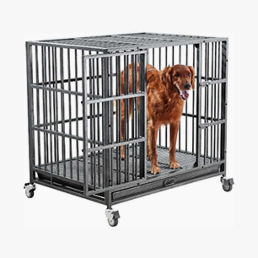 Best Dog Crates For Golden Retrievers: (Sizes, Materials &  More)