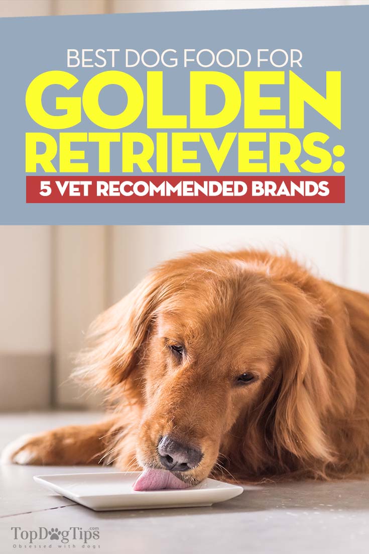 Best Dog Food for Golden Retrievers: 5 Vet Recommended ...