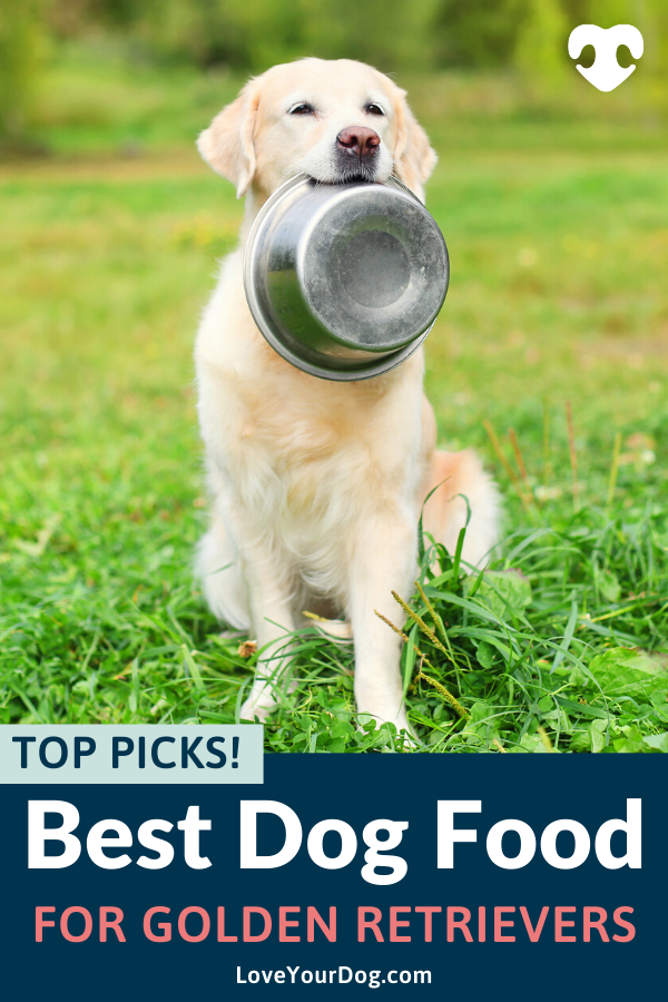 Best Dog Foods For Golden Retrievers: Puppies, Adults &  Seniors