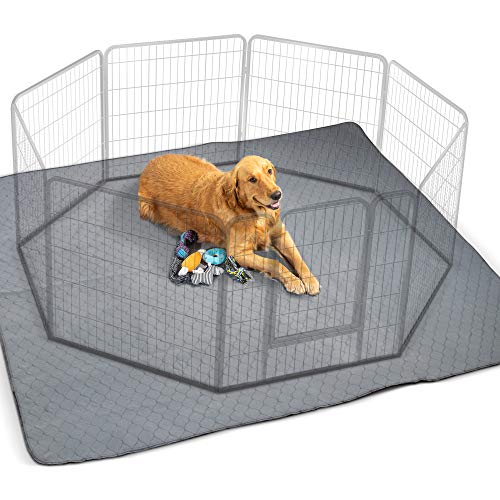 Best Dog Playpen For Golden Retriever  Reviews &  Features  Prepare to ...