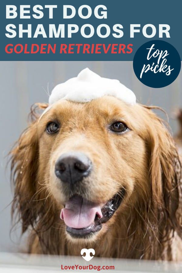 Best Dog Shampoo For Golden Retrievers: Ratings & Reviews ...