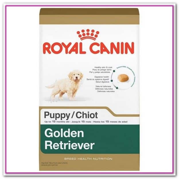Best Dry Dog Food For Golden Retriever Puppies