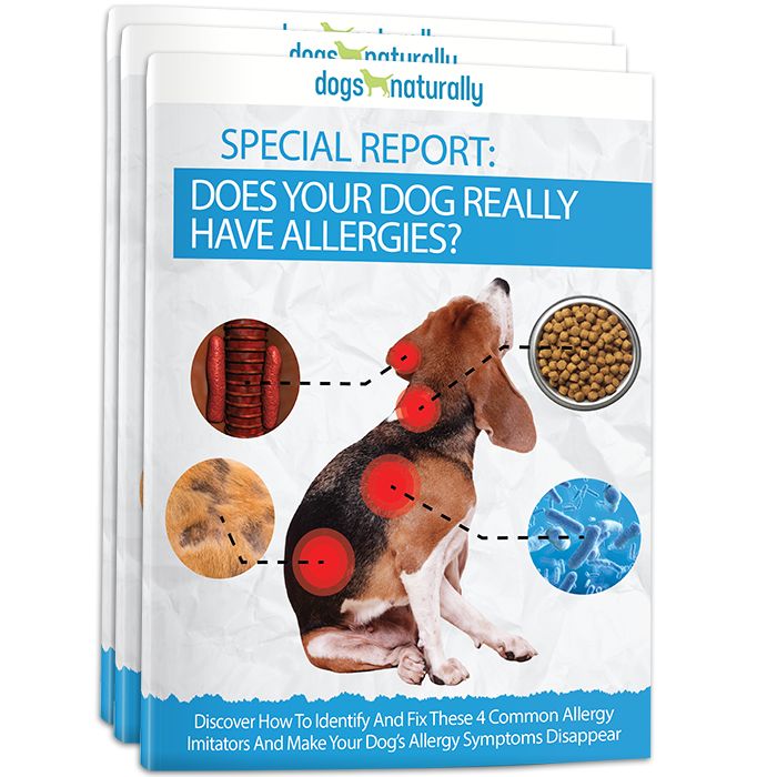 best food for golden retriever with allergies