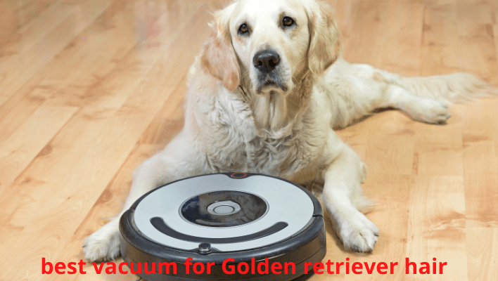 Best Vacuum For Golden Retriever Hair
