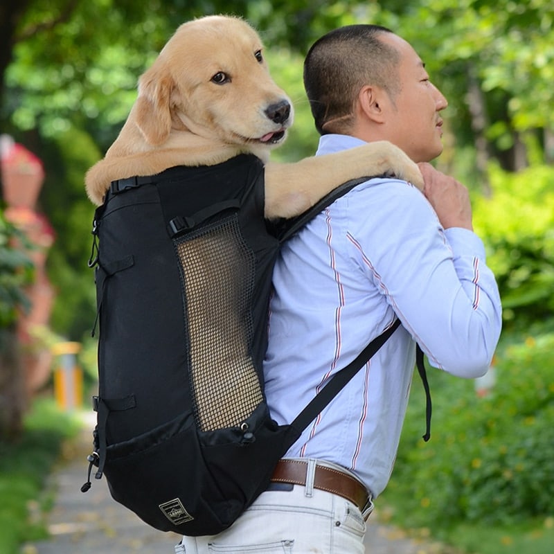 Breathable Pet Dog Carrier Bag for Large Dogs Golden Retriever Bulldog ...