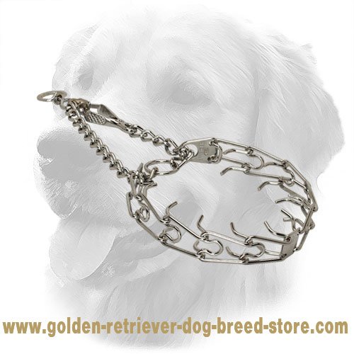 Chrome Plated Steel Golden Retriever Pinch Collar with ...
