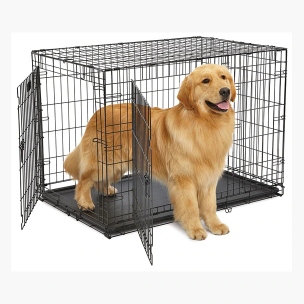 Dog Crate Golden Retriever