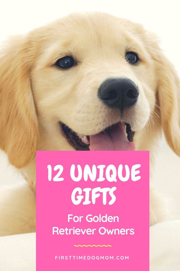 Dog Lover gifts are always great for any occasion, this is ...