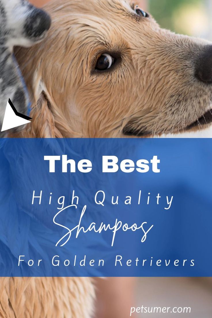Dog Shampoo. The best high quality shampoos for Golden ...