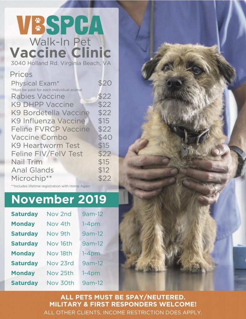 Dog Vaccination Schedule And Costs