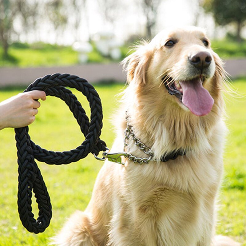 Double Pet Dog Collars Leashes Set Nylon Big Dog Leash For ...