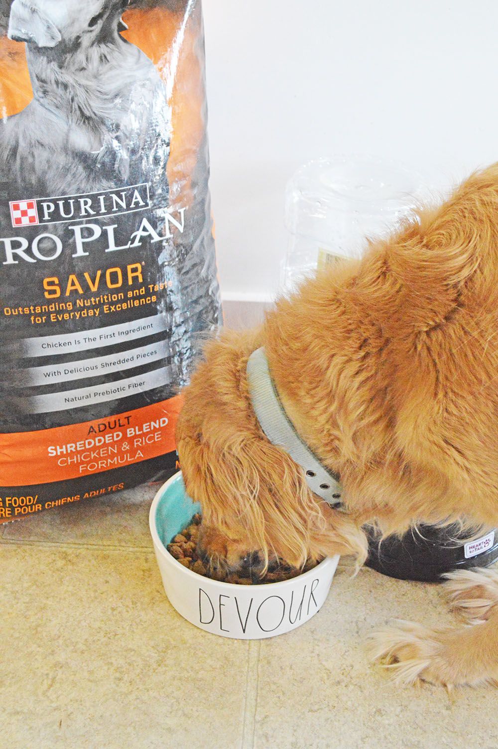 Everyday Little Victories with Purina® Pro Plan