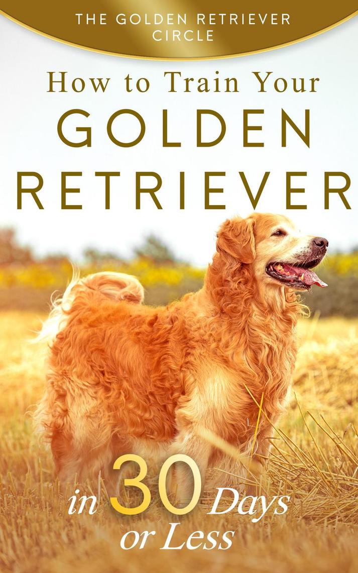 Golden Retriever: How to Train Your Golden Retriever in 30 ...