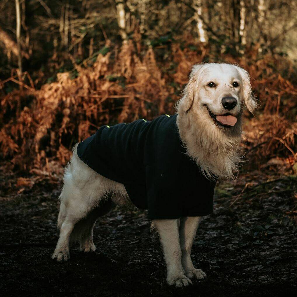 Golden Retriever Polartec Water Resistant Dog Coat By Stix ...