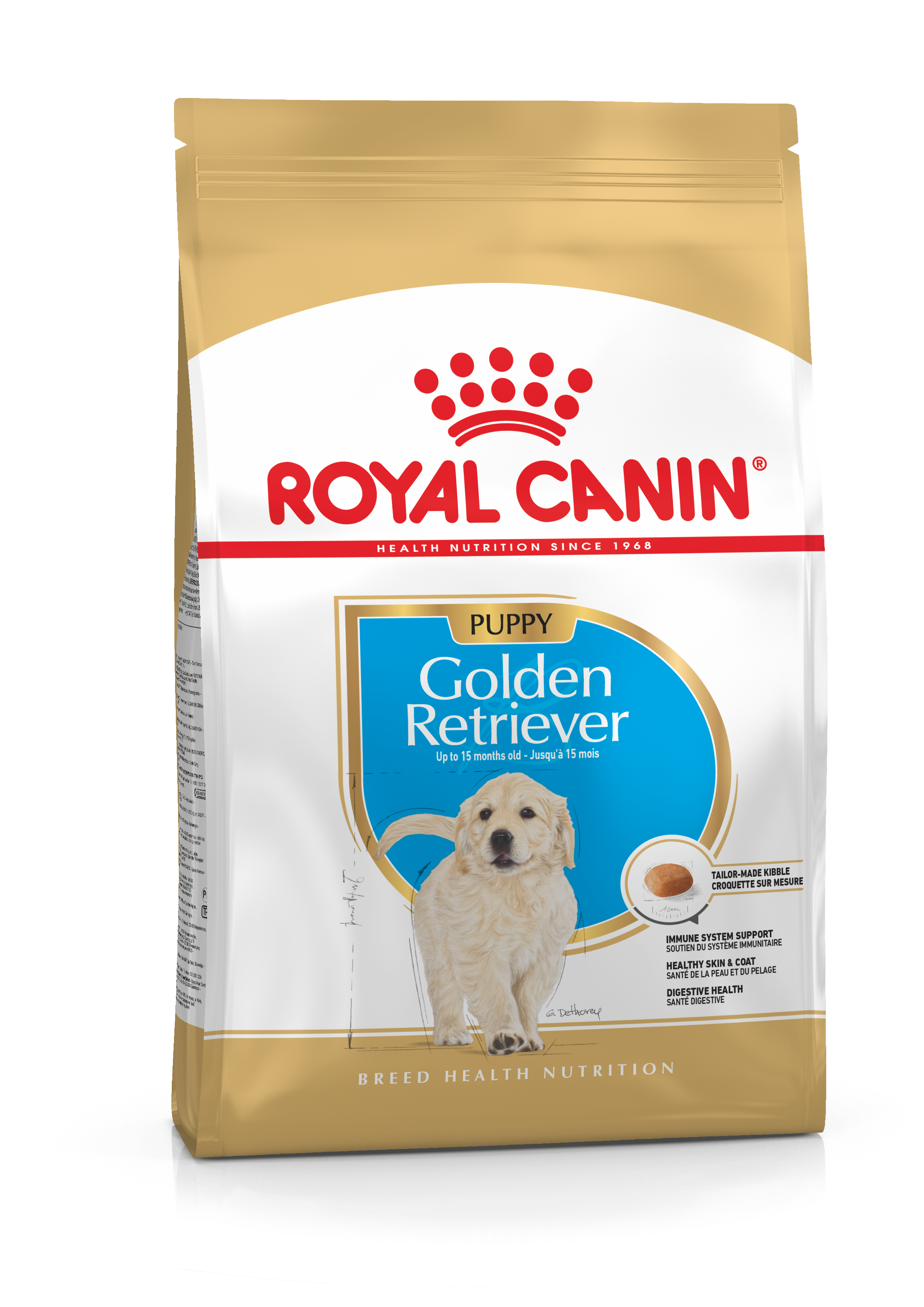 Golden Retriever Puppy Dry