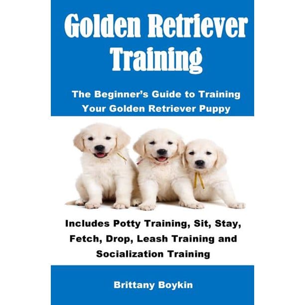 Golden Retriever Training : The Beginner