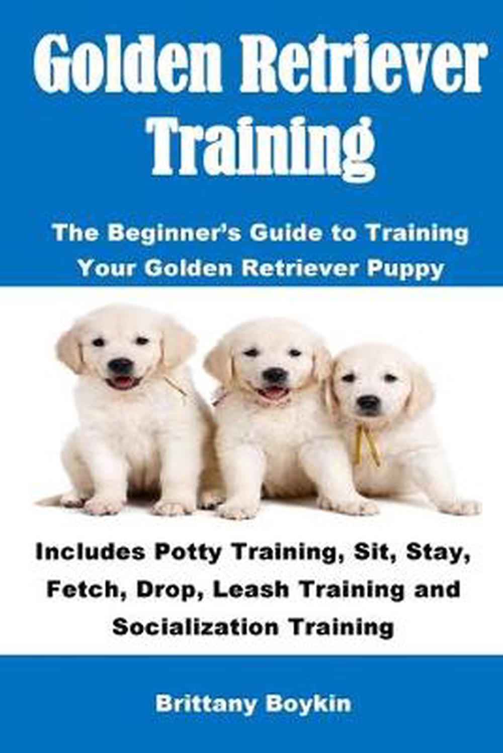 Golden Retriever Training: The Beginner