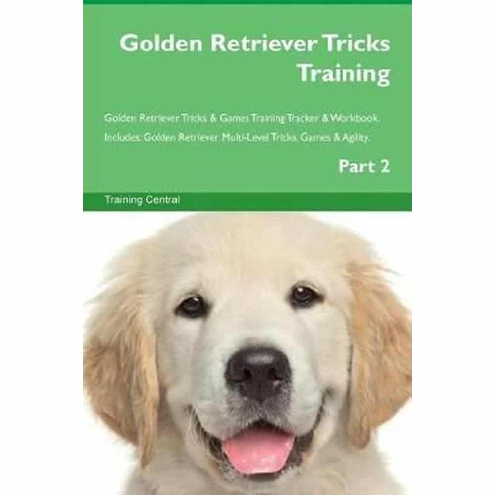 Golden Retriever Tricks Training Golden Retriever Tricks &  Games ...