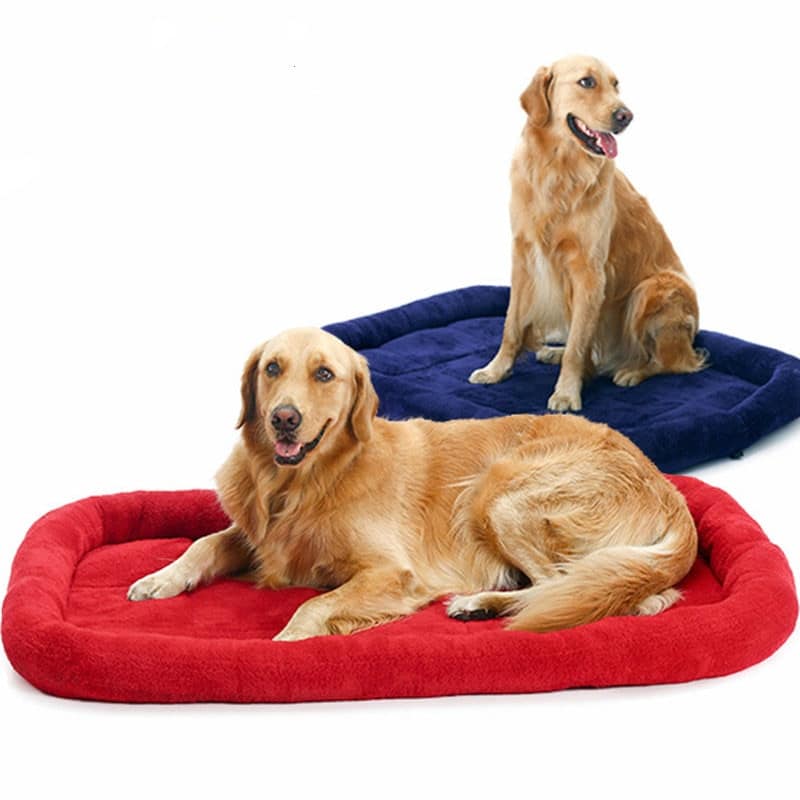HJKL Large Dog Bed Big Size Pet Cushion Warm Sleeping Bed Golden ...