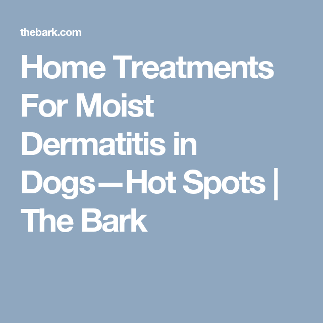 Home Treatments For Moist Dermatitis in DogsHot Spots