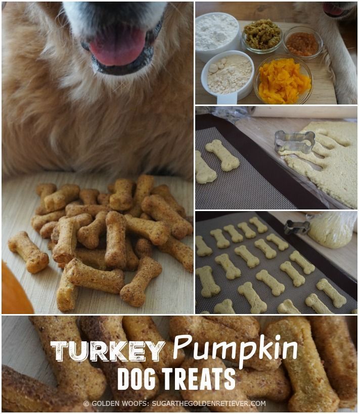 Homemade Thanksgiving Dog Treats