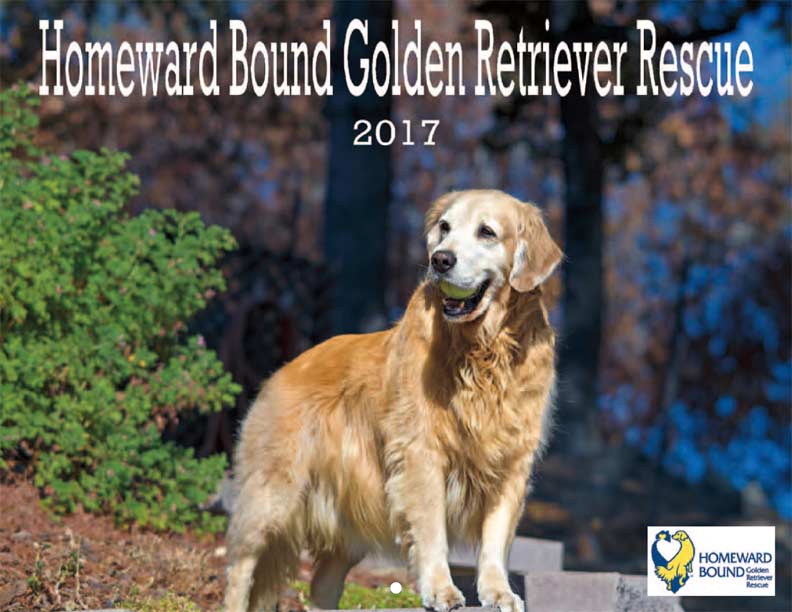 Homeward Bound Golden Retriever Rescue 2017 Calendar ...