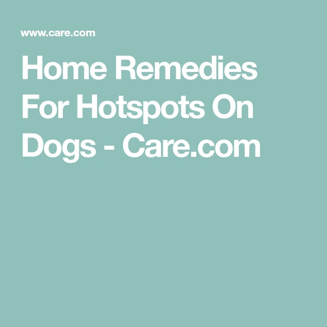 Hot spots on dogs: Causes, treatments and home remedies