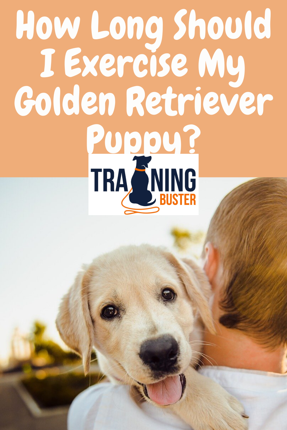 How Long Should I Exercise My Golden Retriever Puppy ...