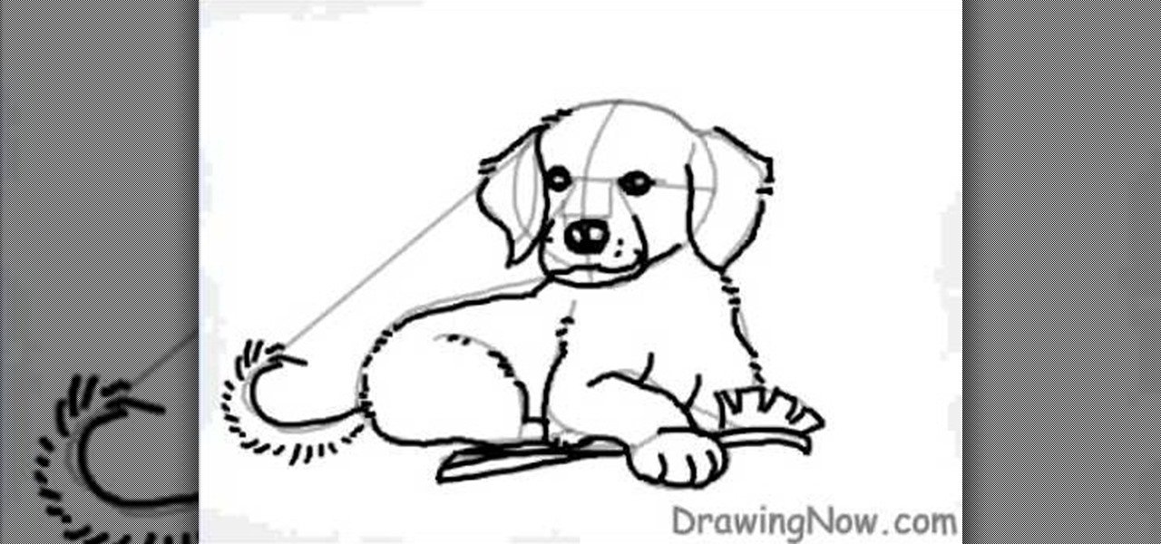 How to Draw a cartoon golden retriever puppy dog « Drawing ...