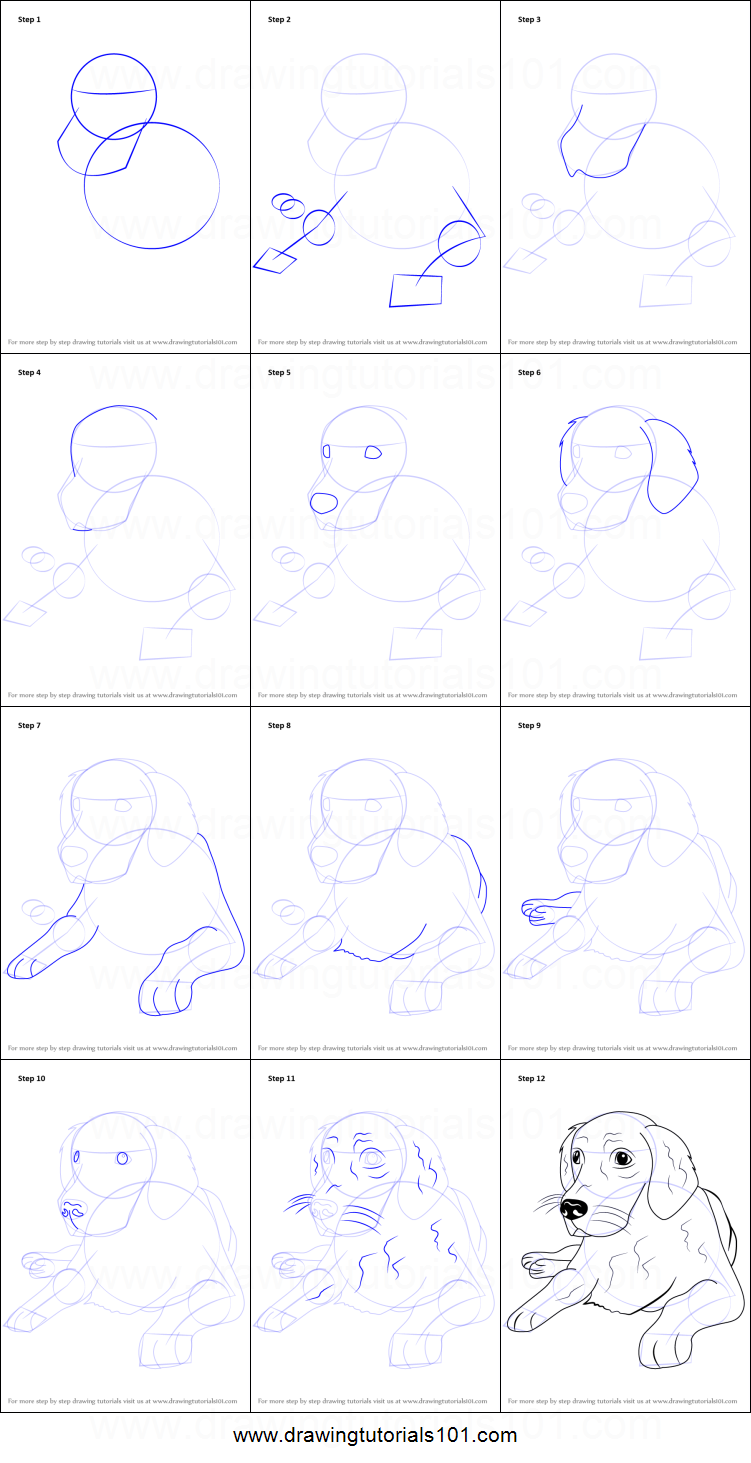 How to Draw a Golden Retriever printable step by step ...