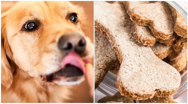 How To Make Homemade Peanut Butter Dog Treats