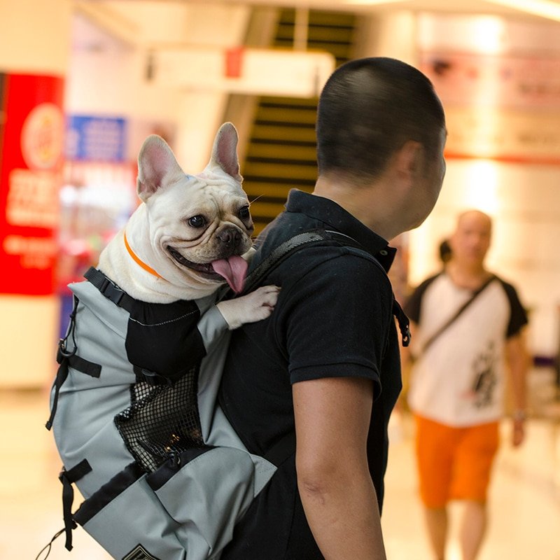 Large Pet Dog Carrier Bag Golden Retriever Bulldog ...
